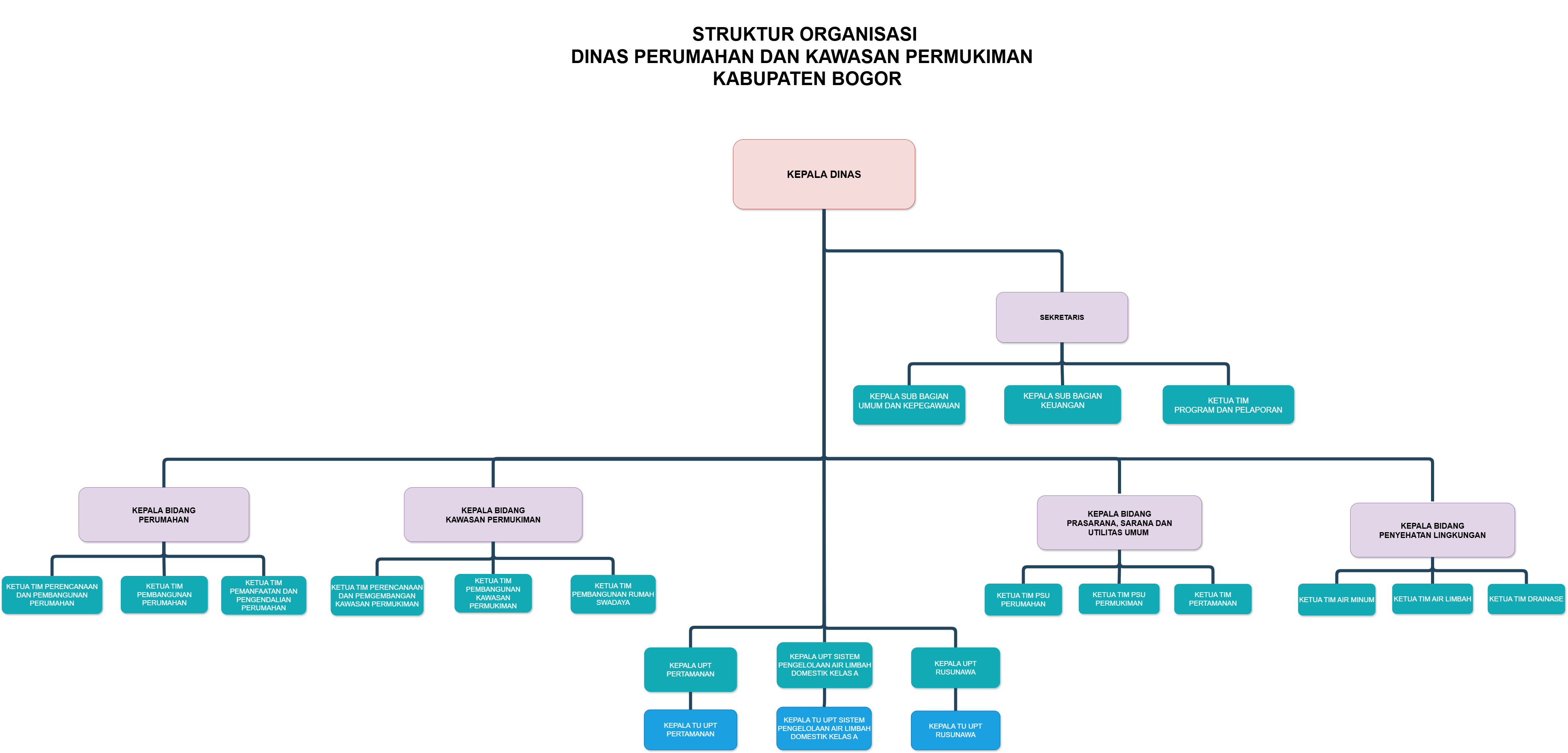 STRUKTUR ORGANISASI DINAS PERUMAHAN DAN KAWASAN PERMUKIMAN